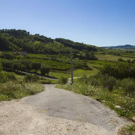 Agriturismo La Casa Nel Cielo San Paolo di Iesi