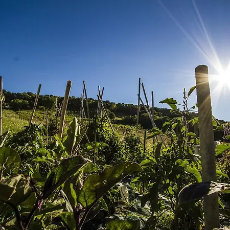 Agriturismo La Casa Nel Cielo San Paolo di Iesi